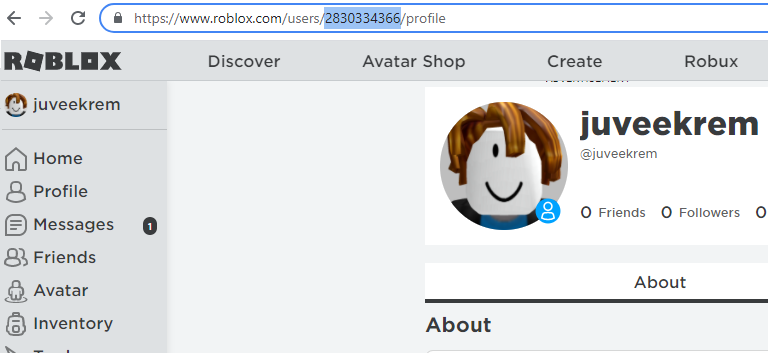 Inicie sesión en su cuenta de Roblox