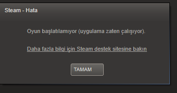 Steam Oyun Açılmıyor Hatası