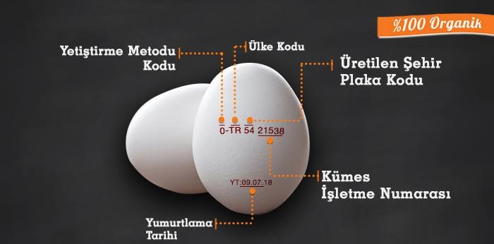 Yumurta Kodları Ne Anlama Gelir