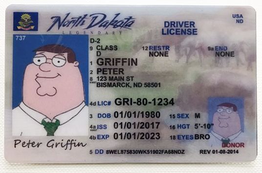 drivers license for roblox voice chat