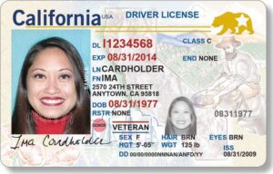 Fake Drivers License for Roblox | infonuz