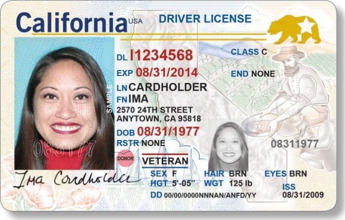 fake drivers license online maker
