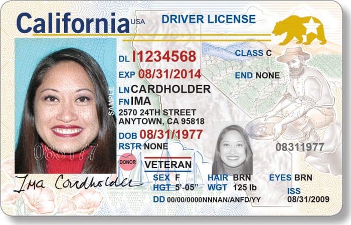 Fake Drivers License for Roblox