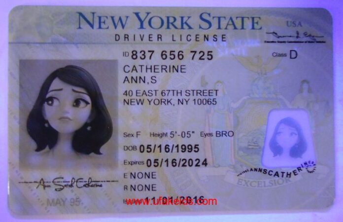 Fake Drivers License for Roblox | infonuz