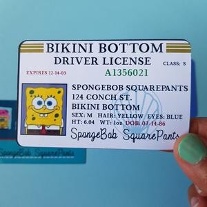 Fake Drivers License for Roblox